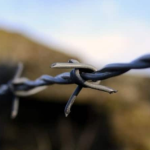 Kyrgyz-Tajik Border Crisis